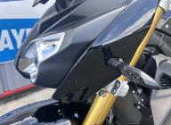 BMW S 1000 R